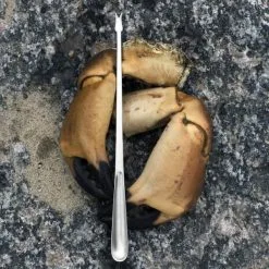 Kay Bojesen Aps Grand Prix Skaldyrssæt - 2 Dele 8 Kay Bojesen Aps Grand Prix Skaldyrssæt - 2 Dele -bestikbutik 3990 eea09707 4f05 4dda b7b7 f3d4ae3085e0