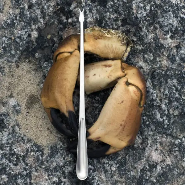 Kay Bojesen Aps Grand Prix Skaldyrssæt - 2 Dele 5 Kay Bojesen Aps Grand Prix Skaldyrssæt - 2 Dele - Billede 3