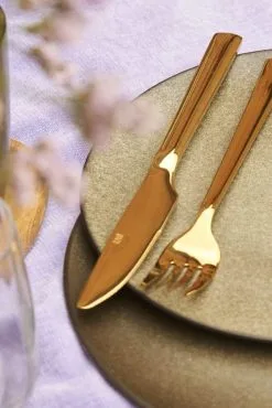 RAW Bestiksæt - 48 Dele -bestikbutik 3990 fe8424ad 2b0f 47ed b636 e48ed6056a91